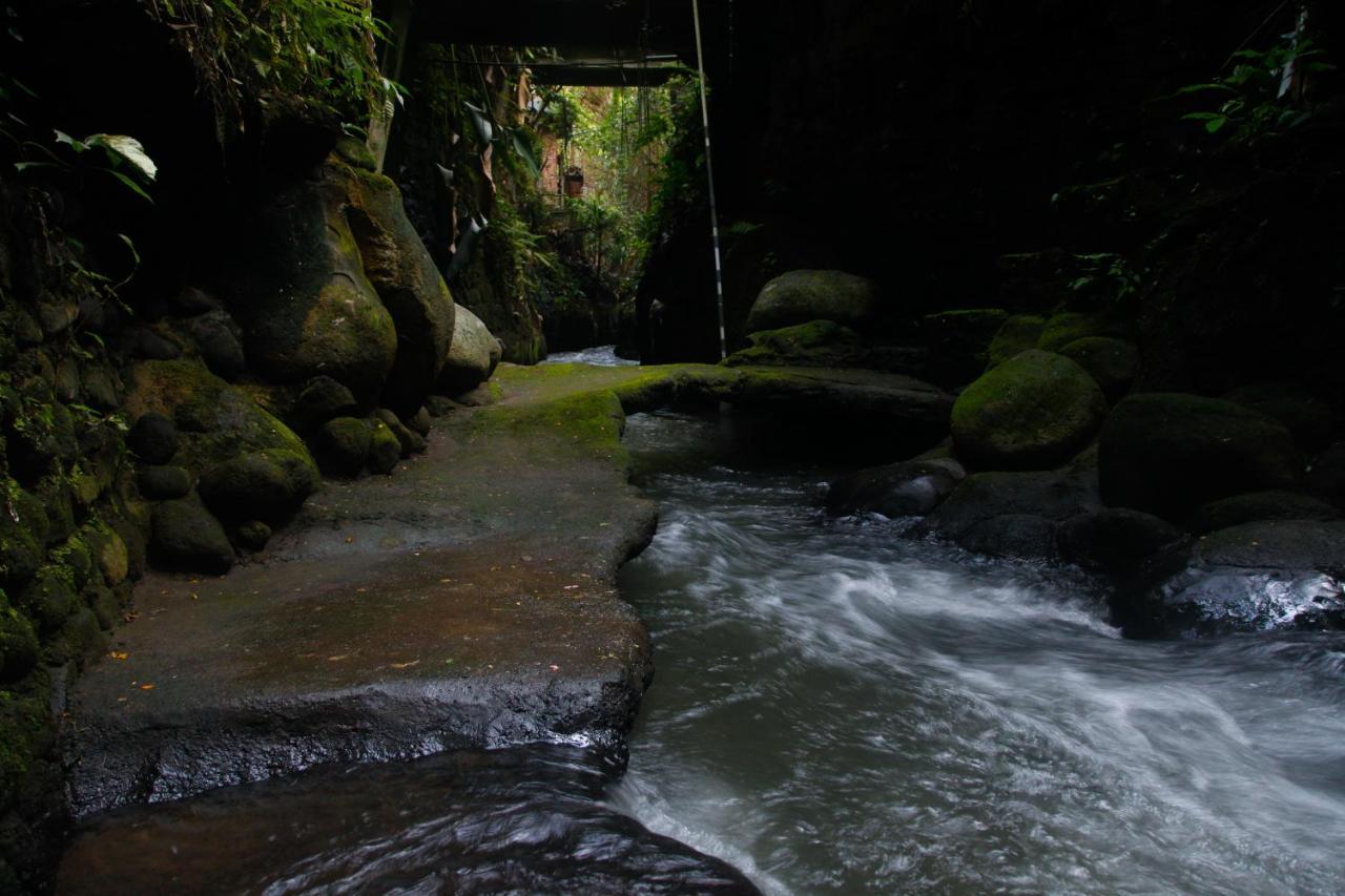 Pondok Legon House Ubud Exteriör bild